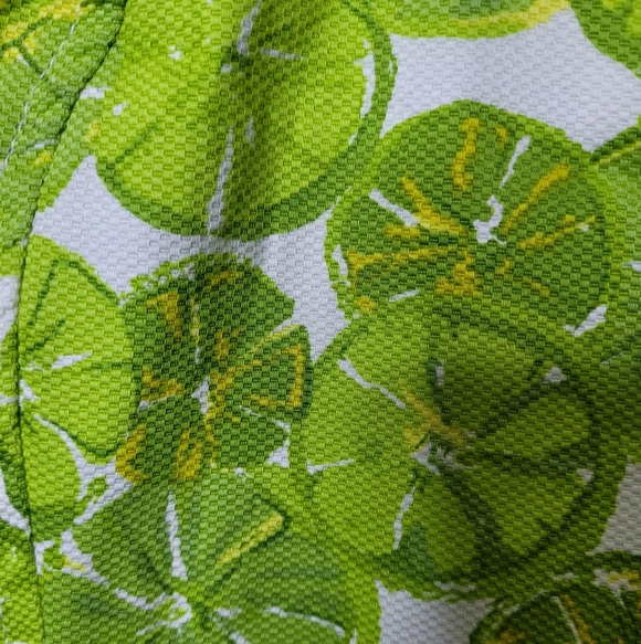 Talbots Petite All Over Lime Print Dress Stretch Twill Summer Vacation Size 10P - Picture 4 of 8